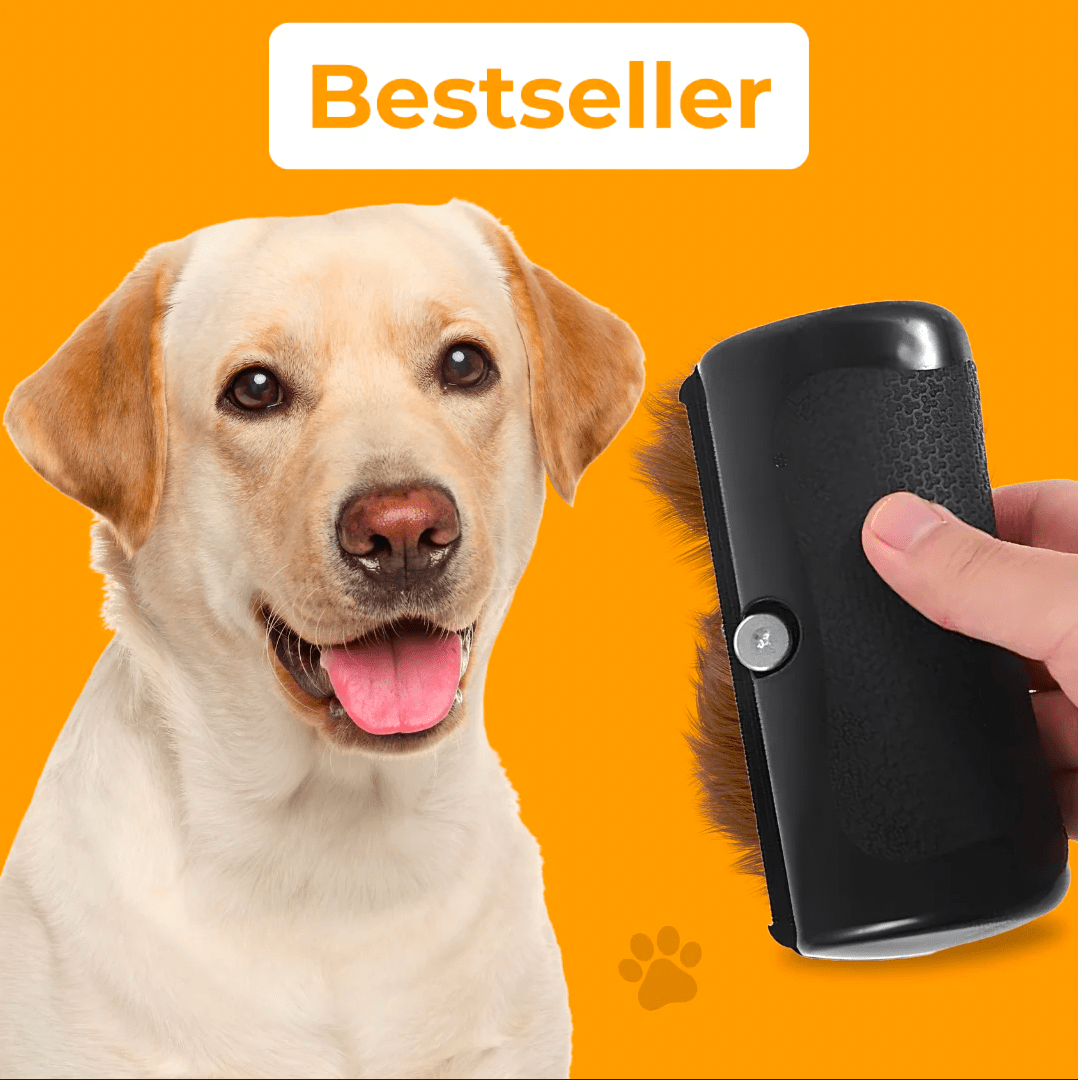 Fellwunder Bürste - Der Bestseller