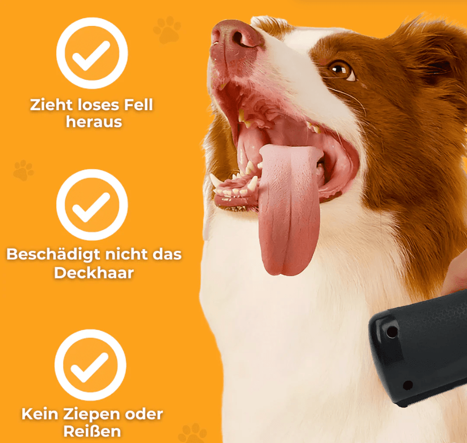 Fellwunder Bürste - Der Bestseller
